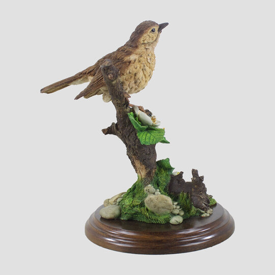 Song Thrush Country Artists