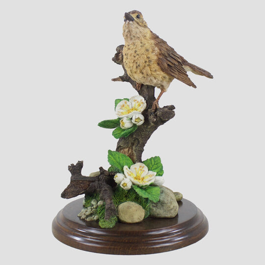 Song Thrush Country Artists