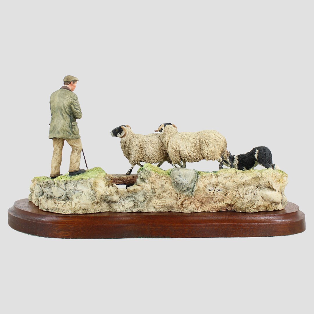Steady Lad Steady Border Fine Arts Sheep