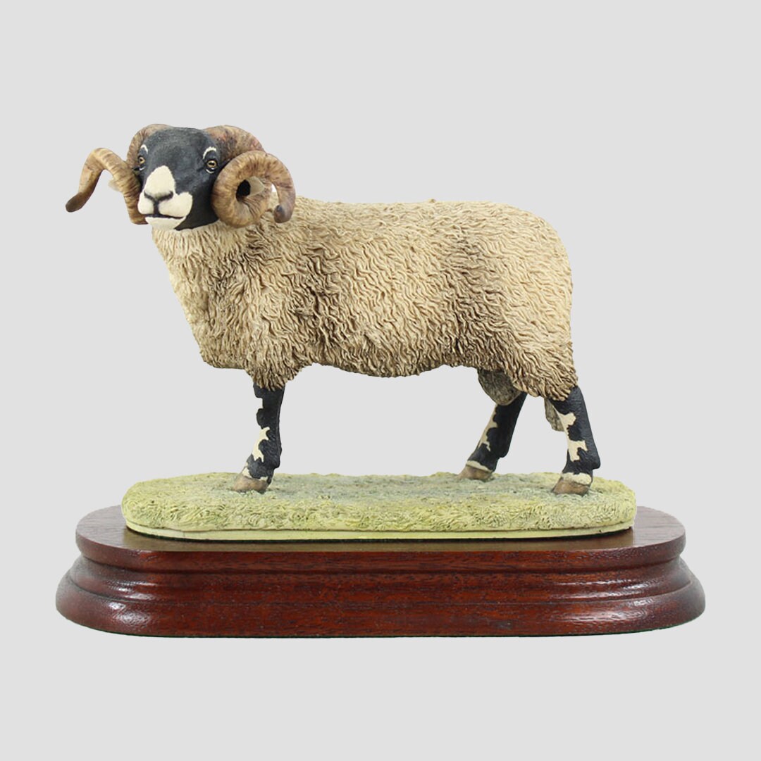 Swaledale Tup 1994 Border Fine Arts Livestock – Grays 1922 Ltd