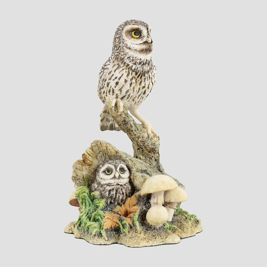 Tawny Owl And Owlet On A Tree Hollow Border Fine Arts Birds