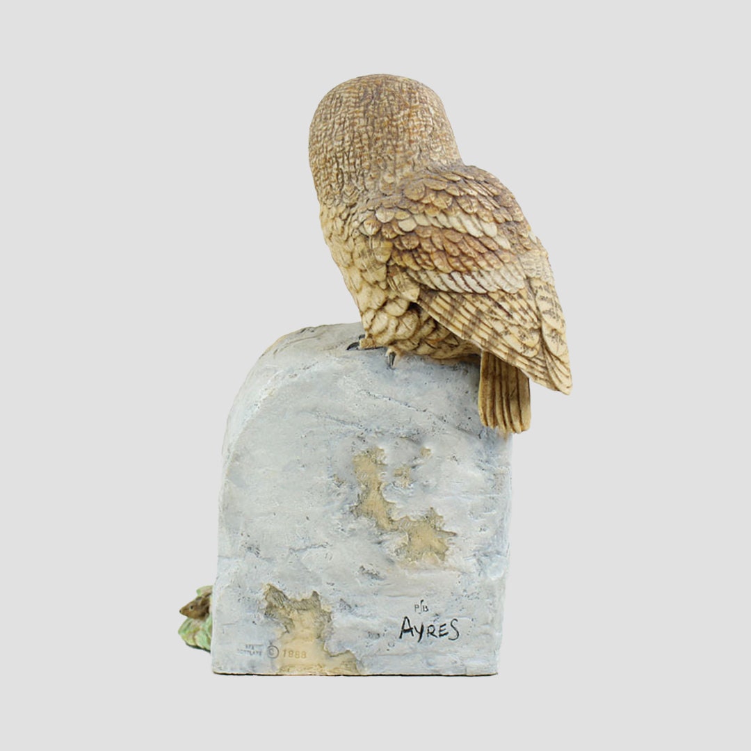 Tawny Owl On Milestone Border Fine Arts Birds