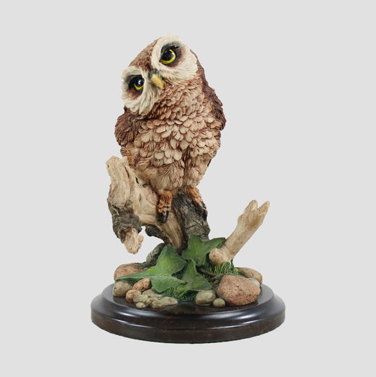 Tawny Owl On Tree Stump Border Fine Arts Birds