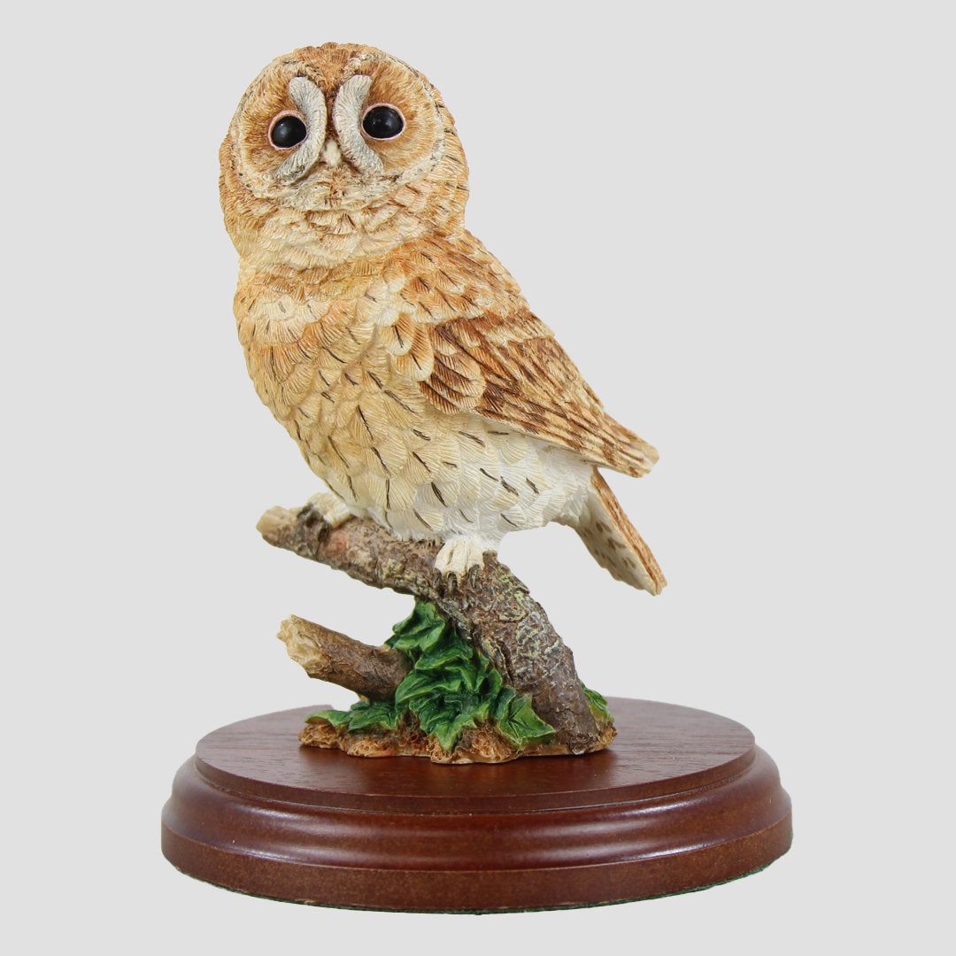 Tawny Owl on Branch Border Fine Arts