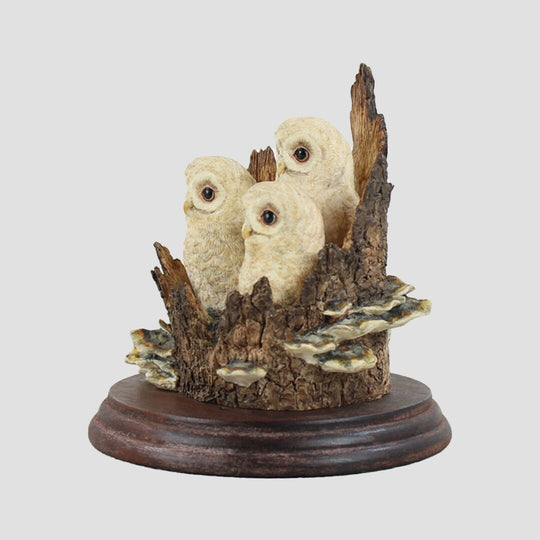 Three Owlets On A Tree Stump Nest Border Fine Arts Birds