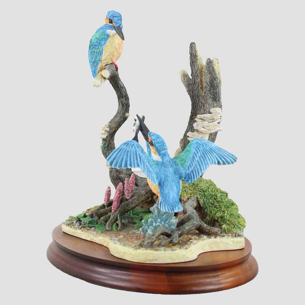 Today's Catch Border Fine Arts Kingfishers