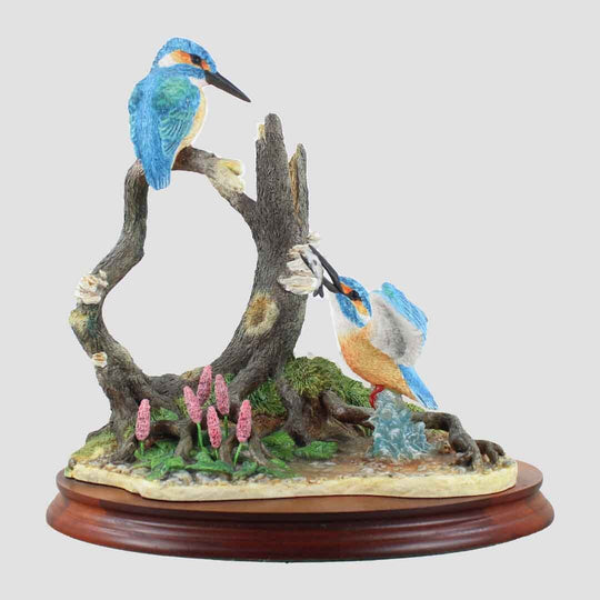 Today's Catch Border Fine Arts Kingfishers