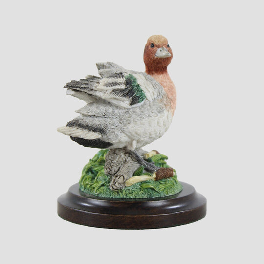 Wigeon By Country Artists Border Fine Arts Birds