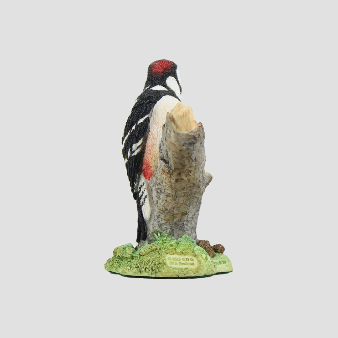Woody Woodpecker Model Border Fine Arts Birds