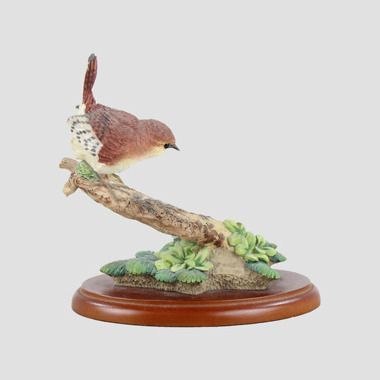 Wren and Silver Thimble Border Fine Arts Birds