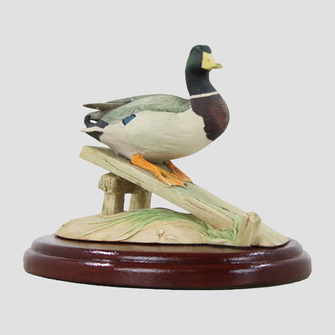 Mallard Drake On Plank Border Fine Arts Birds