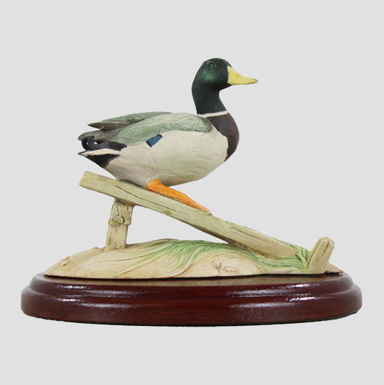 Mallard Drake On Plank Border Fine Arts Birds