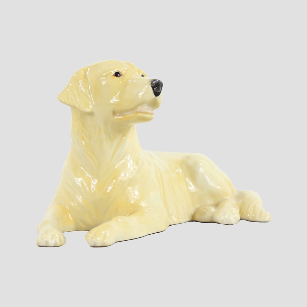 Golden Retriever Lying Border Fine Arts Dogs