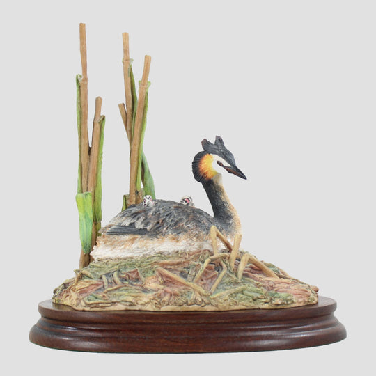 Grebe and Chicks Border Fine Arts Birds