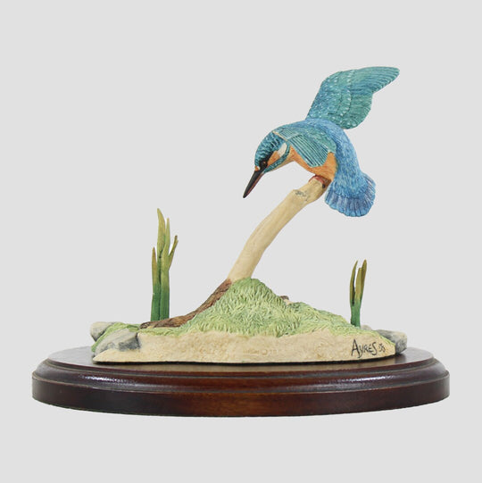 Kingfisher Rb10 Border Fine Arts Birds