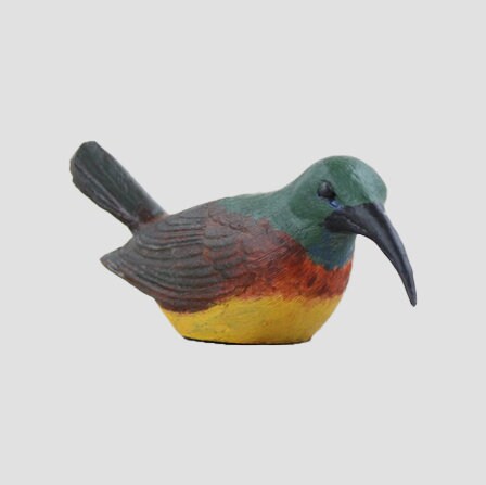 Orange Breasted Sunbird Model