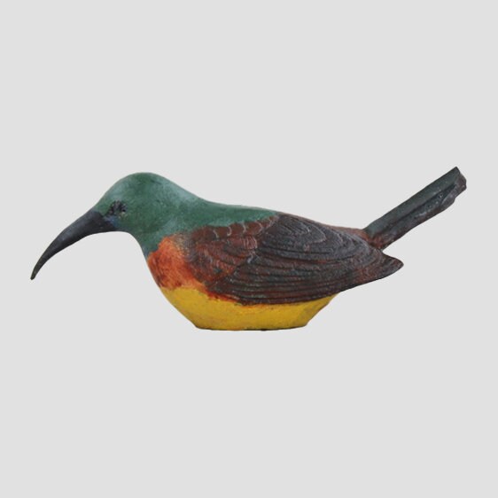 Orange Breasted Sunbird Model