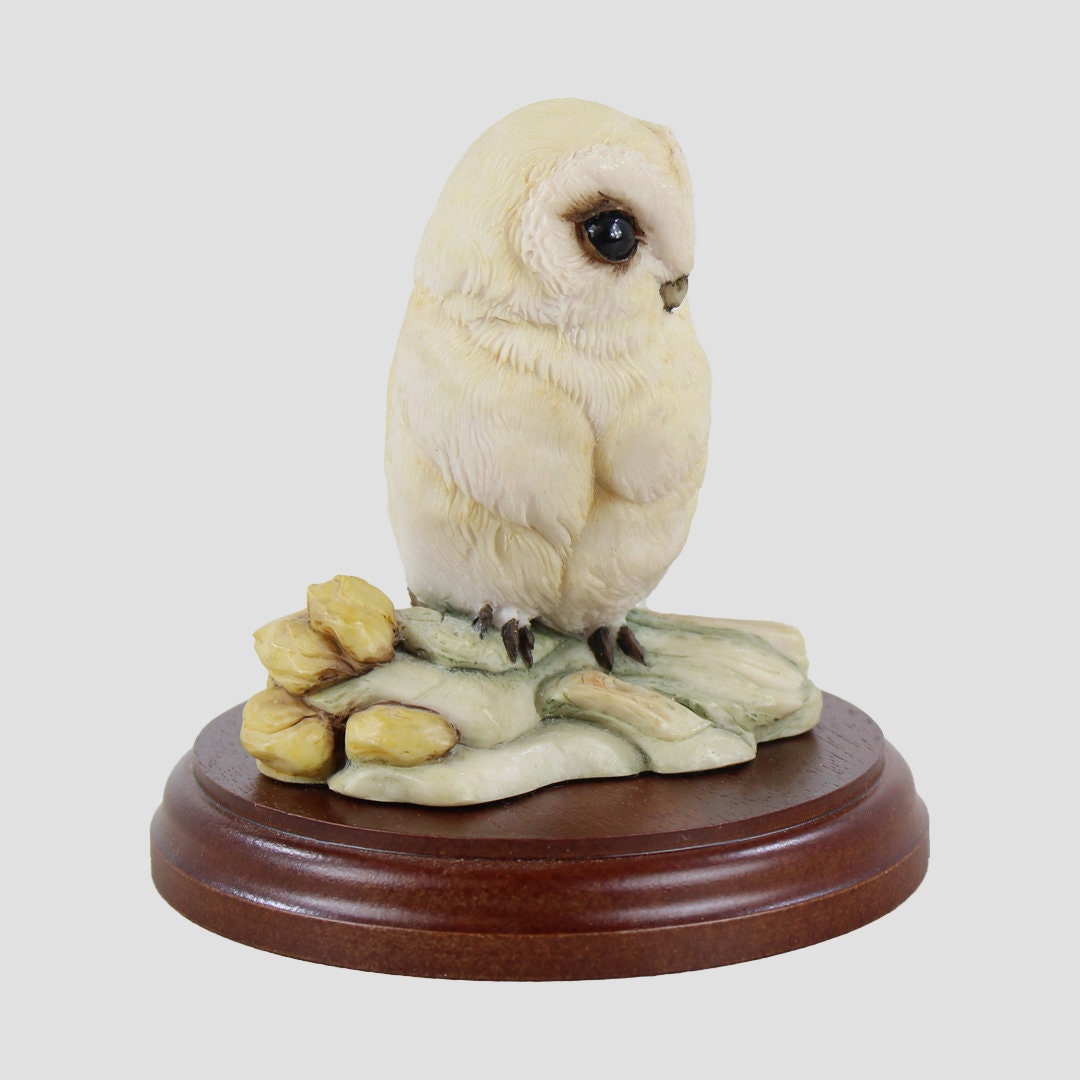 Owlet (White) On Rocks Bird Model