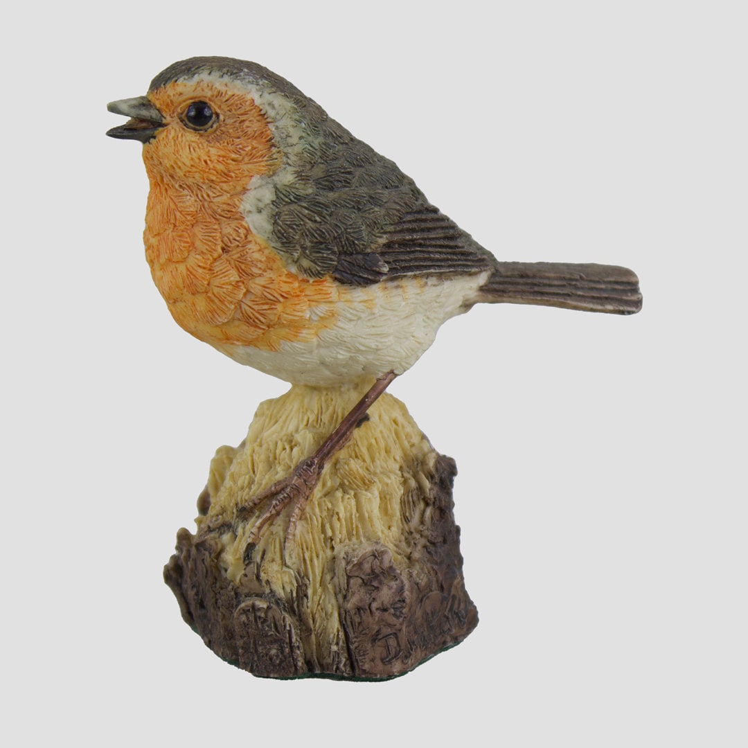 Robin Style Five Border Fine Arts Birds