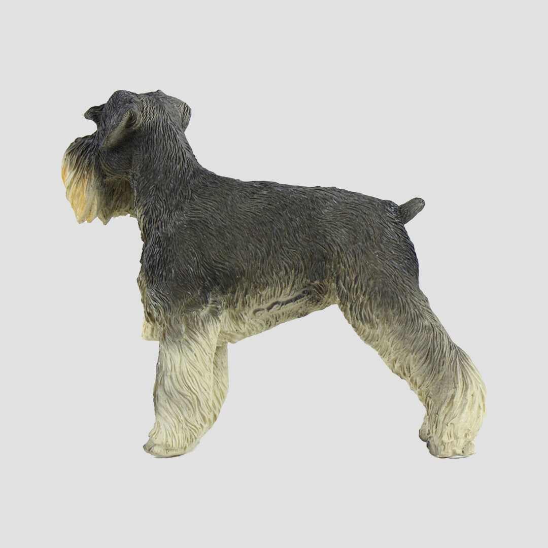 Schnauzer Dog Model Border Fine Arts Dogs