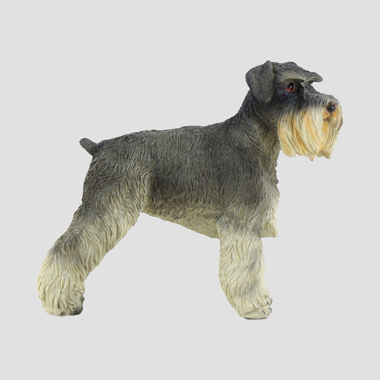 Schnauzer Dog Model Border Fine Arts Dogs