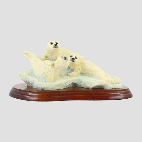 Seal Pups Border Fine Arts