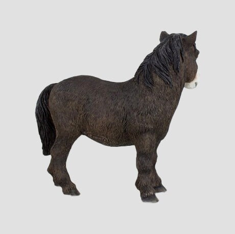 Shetland Pony Model By Leonardo Horses