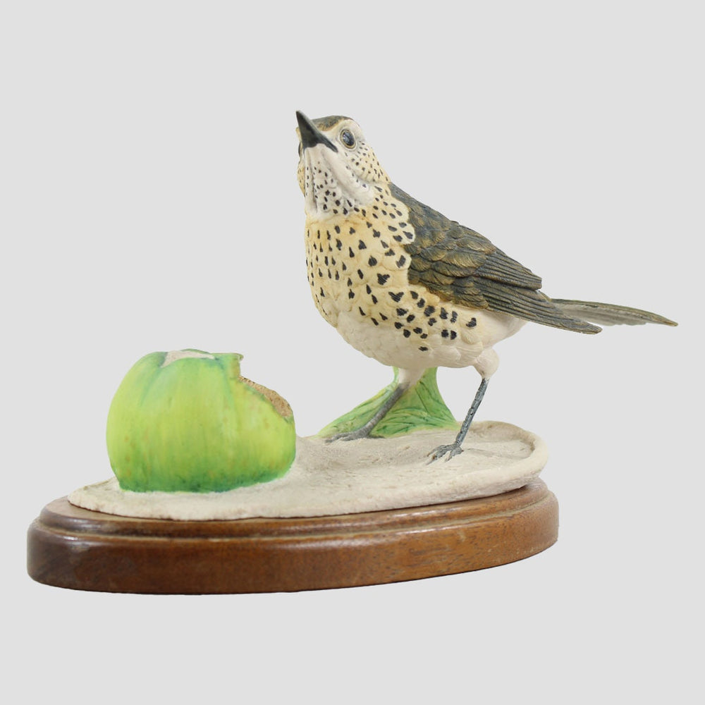 Song Thrush Border Fine Arts Birds