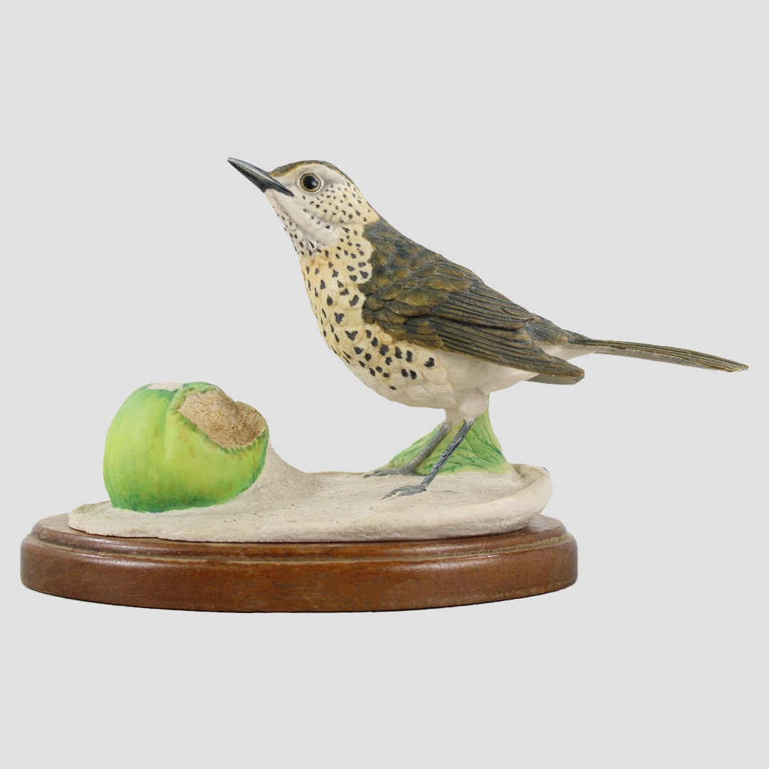 Song Thrush Border Fine Arts Birds