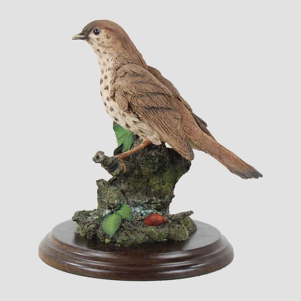 Song Thrush Country Artists Birds