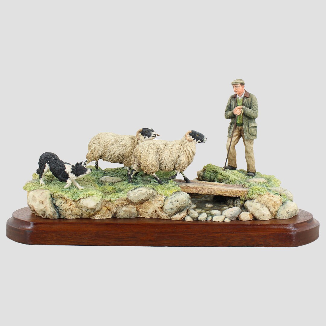 Steady Lad Steady Border Fine Arts Sheep