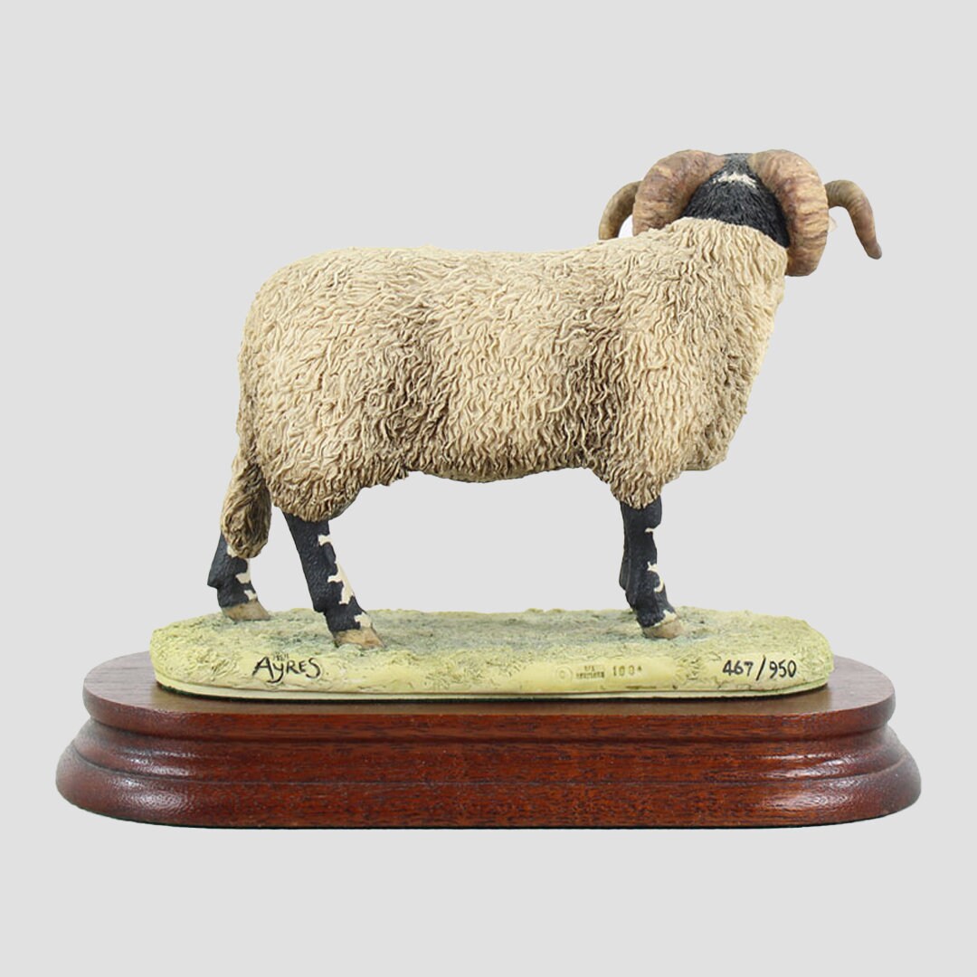 Swaledale Tup 1994 Border Fine Arts Livestock