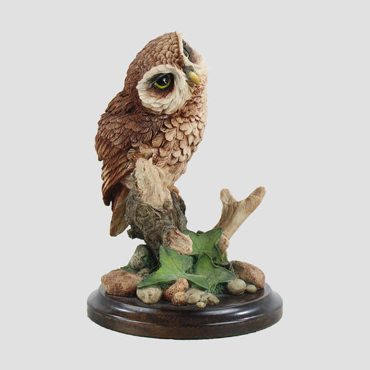 Tawny Owl On Tree Stump Border Fine Arts Birds