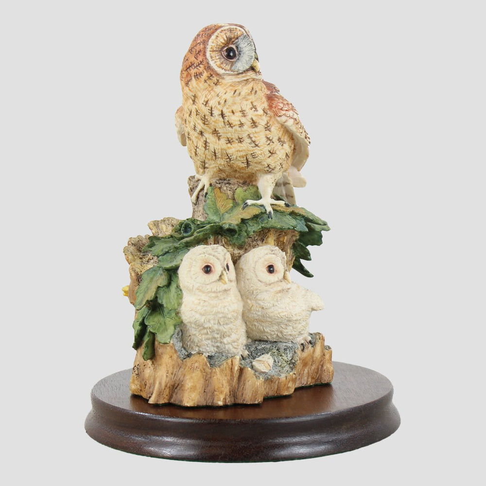 Tawny Owl and Owlets Border Fine Arts