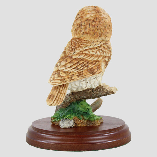 Tawny Owl on Branch Border Fine Arts