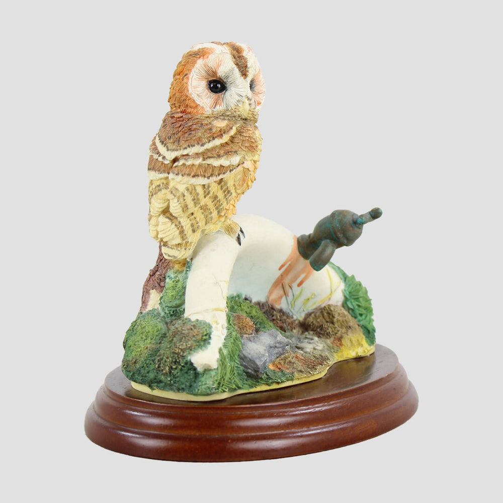 Tawny Owl on Sink Border Fine Arts Birds