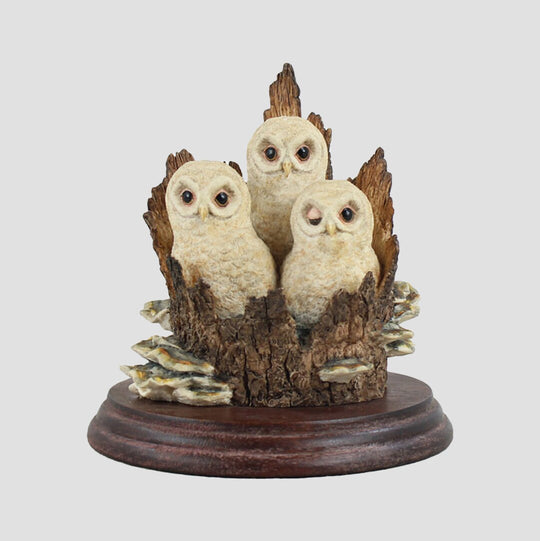 Three Owlets On A Tree Stump Nest Border Fine Arts Birds