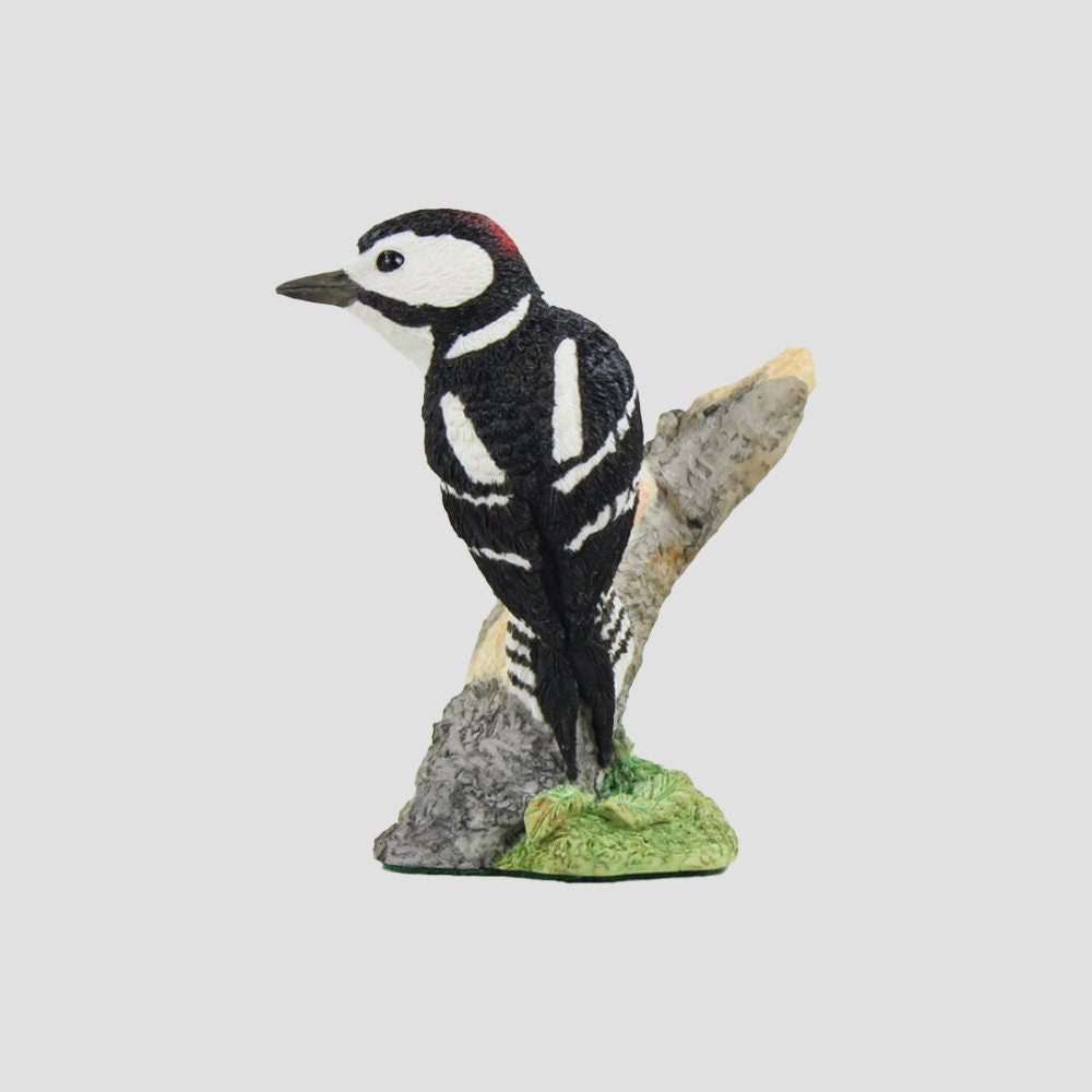Woody Woodpecker Model Border Fine Arts Birds