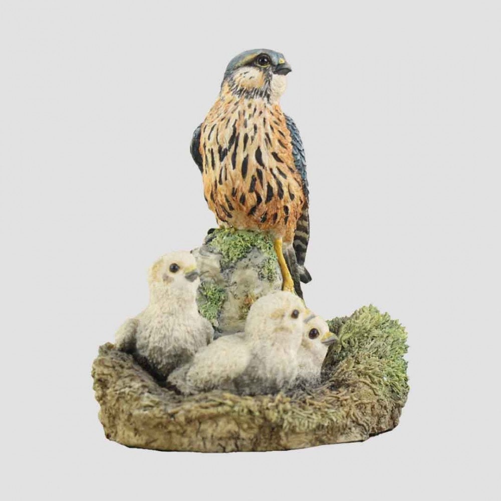 Merlin And Chicks Border Fine Arts Birds