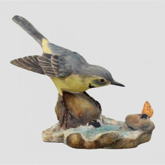 Yellow Wagtail And Snail Border Fine Arts Birds