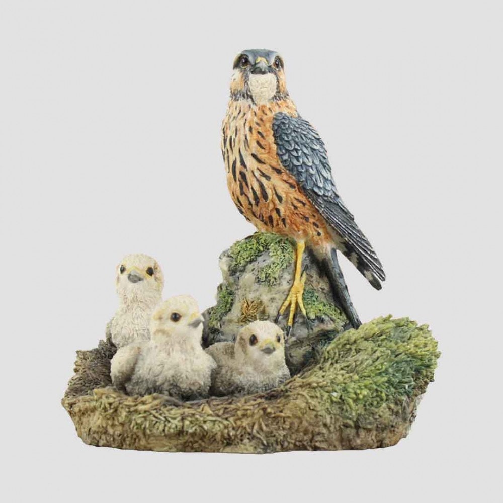 Merlin And Chicks Border Fine Arts Birds